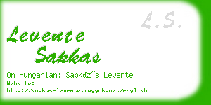 levente sapkas business card